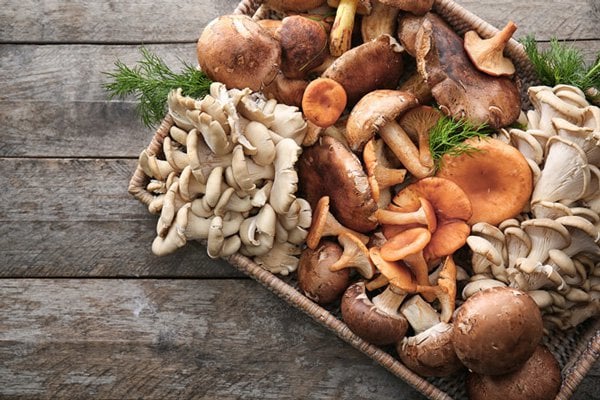 Eating mushrooms may reduce prostate cancer risk
