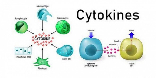 hội chứng giải phóng Cytokine-CRS