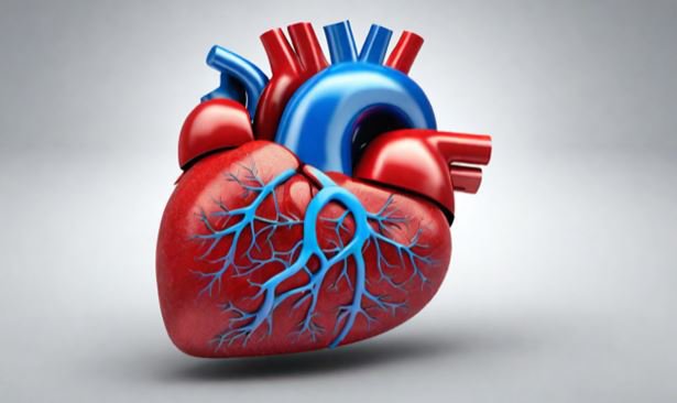 Thay van động mạch chủ qua ống thông là một trong những cách giải quyết tình trạng hẹp động mạch chủ hiệu quả