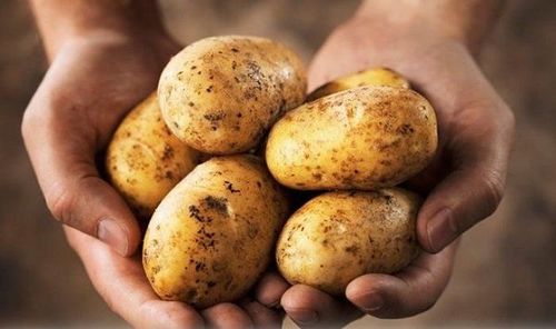 Khoai tây là thực phẩm giúp bạn no lâu