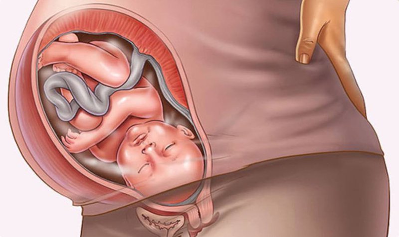 Tại sao phụ nữ mang thai tuần thứ 35 - 36  thường bị viêm âm đạo?