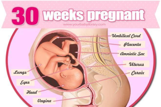 Chỉ số thai nhi 30 tuần tuổi có tầm quan trọng như thế nào?