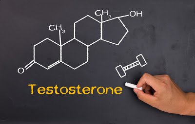 testosterone có vai trò kích thích