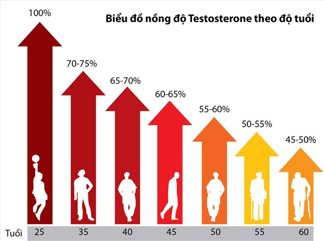 Nồng độ testosterone theo độ tuổi