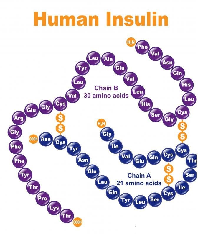 hormon insulin
