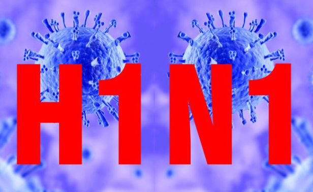Virus cúm A/H1N1