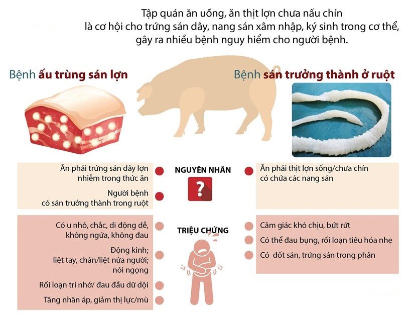 Ăn thịt lợn nhiễm sán, chưa nấu chín có thể gây nguy hiểm cho người