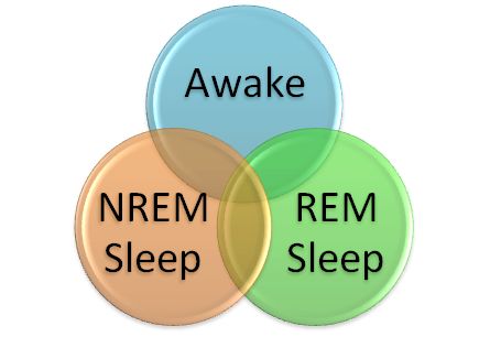 Ngủ Nrem và Nem