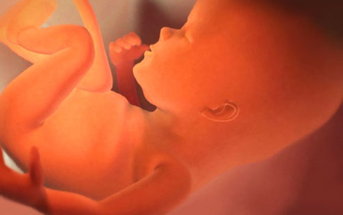 Sản phụ từng bị thai lưu: Cần khám, tư vấn và chăm sóc trước khi mang thai lại
