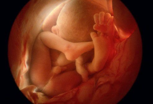 Cơ quan sinh dục của bé hình thành trong bụng mẹ như thế nào