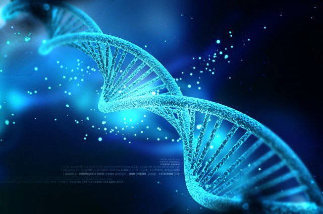 Bộ gen người có thể thay đổi không?