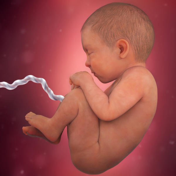 Sự phát triển của thai nhi 35 tuần