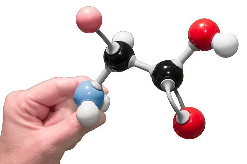 Acid amin Threonine có tác dụng gì?