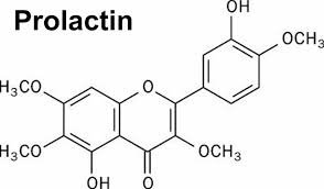 Hormone Prolactin là gì?