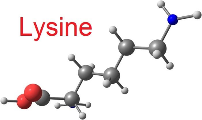 Lysine là gì? Lợi ích và tác dụng phụ