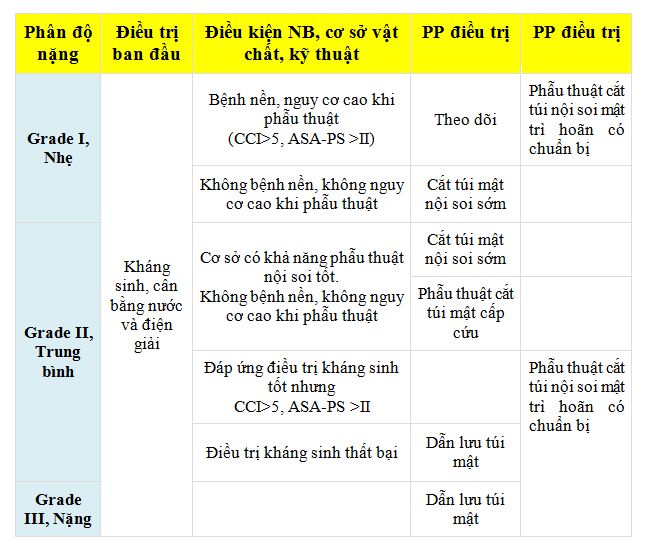 Lựa chọn điều trị sỏi ống mật chủ
