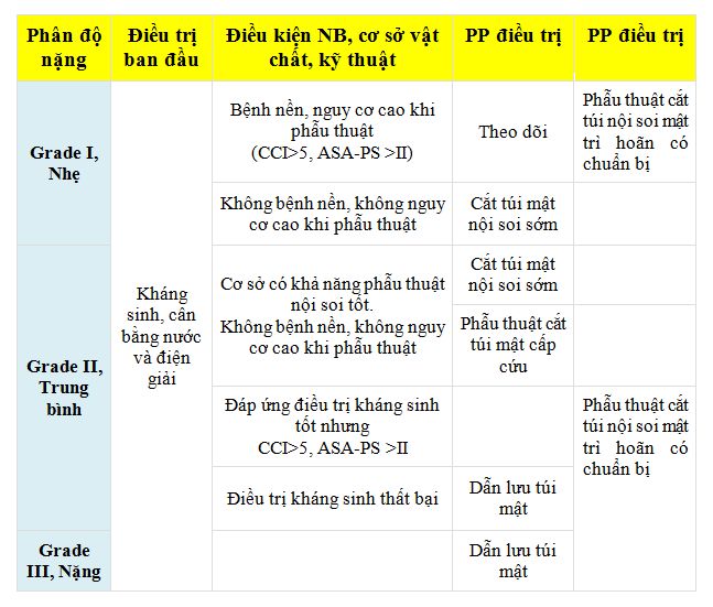 Lựa chọn điều trị sỏi ống mật chủ