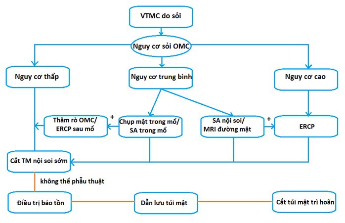 Lựa chọn thăm dò chẩn đoán sỏi ống mật chủ