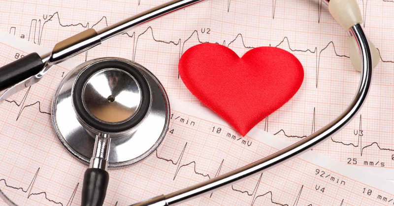 Chương trình Kiến tập mô hình dược lâm sàng tim mạch tại Úc