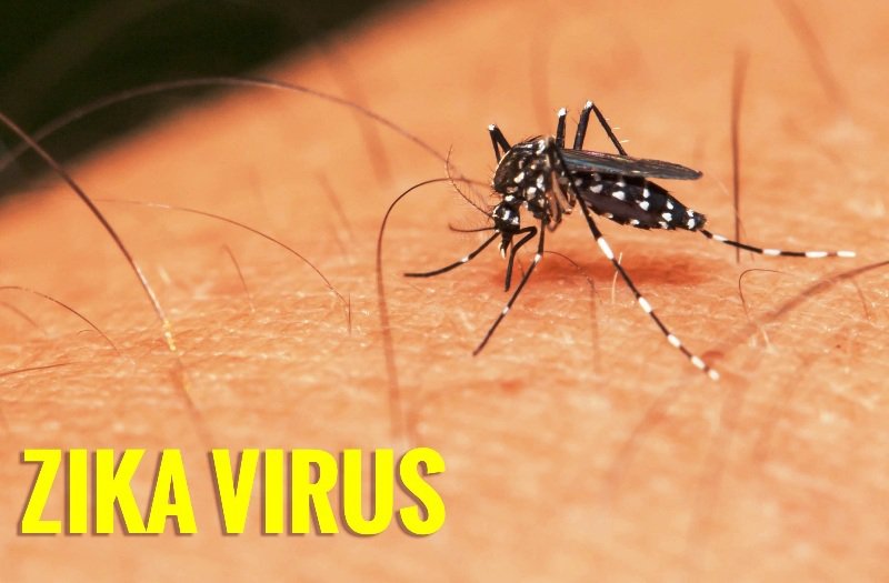 Virus Zika