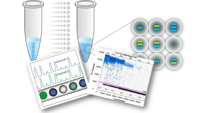 RT-PCR được dùng để chẩn đoán virus gây bệnh quai bị