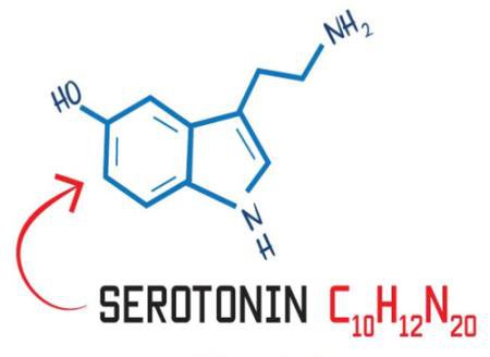 chất ức chế tái hấp thu serotonin có chọn lọc (SSRIs)