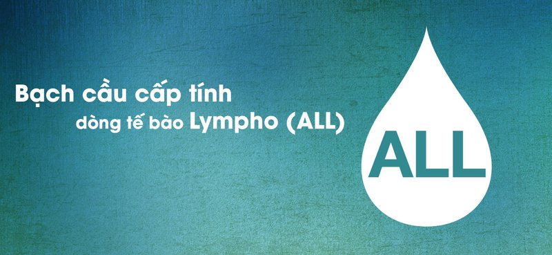 Bệnh bạch cầu cấp tính dòng tế bào Lympho (ALL)
