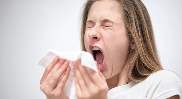 Tất cả những điều bạn cần biết về dịch cúm mùa