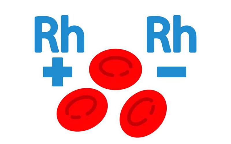 Nhóm máu Rh