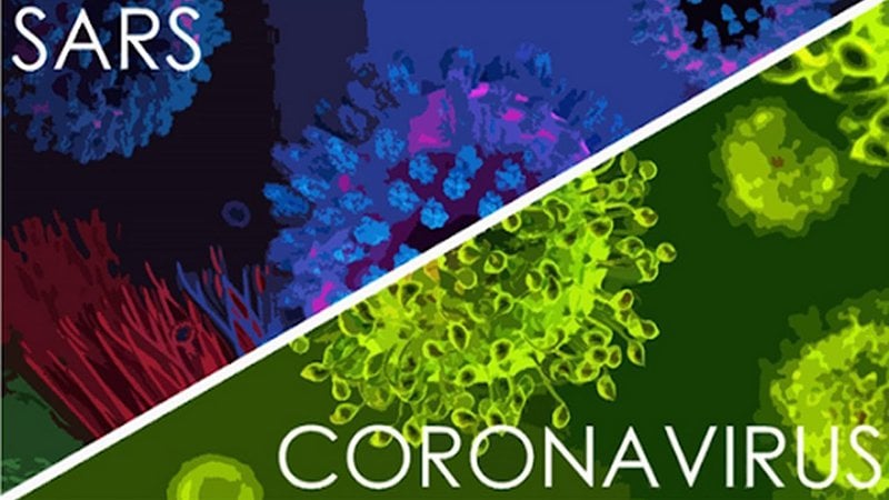virus corona có giống với virus gây bệnh sars không