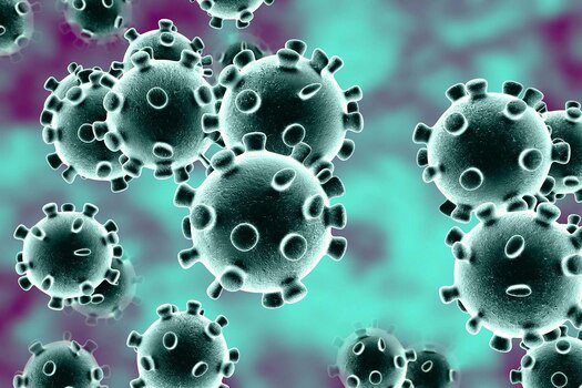 Virus corona 2019 là gì