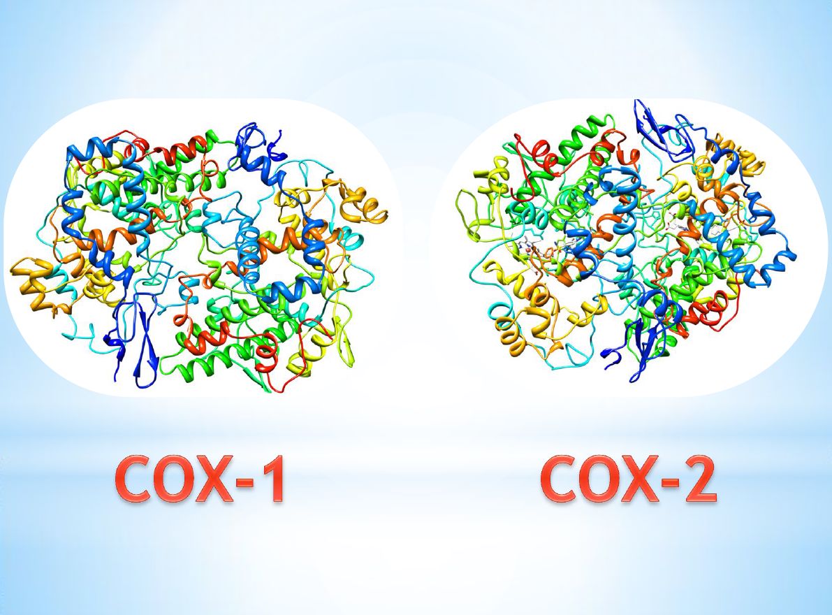 Enzyme COX