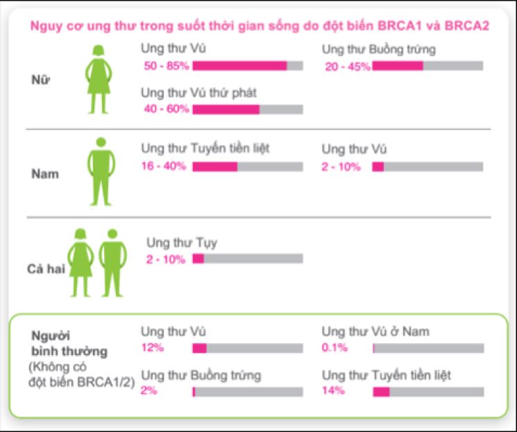 Gen BRCA1