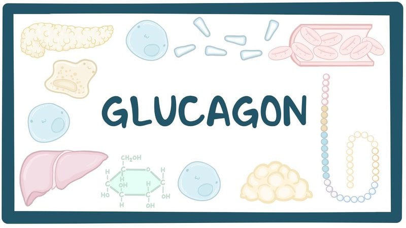 Khi nào thực hiện xét nghiệm kích thích glucagon