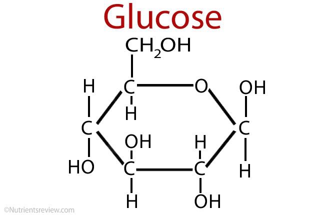 Glucose là gì