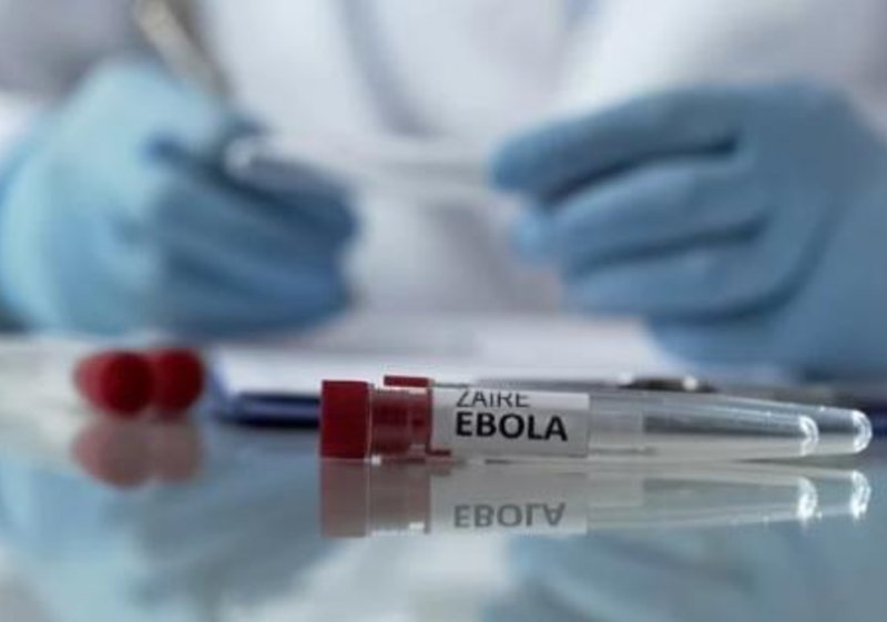 Chẩn đoán và điều trị bệnh do virus Ebola