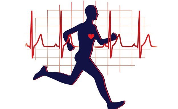 Vì sao tập thể dục tốt cho tim mạch?