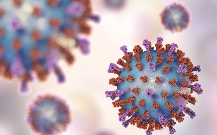 Virus hô hấp hợp bào RSV