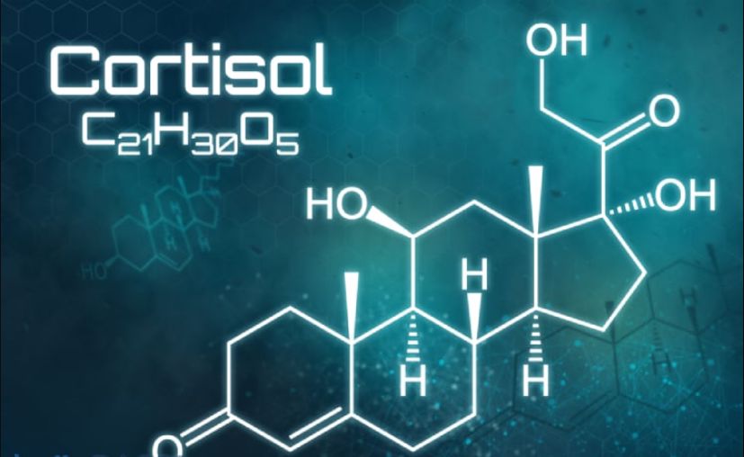 Cortisol