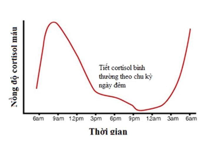 Cortisol