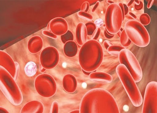 Định nghĩa và phân độ thiếu máu