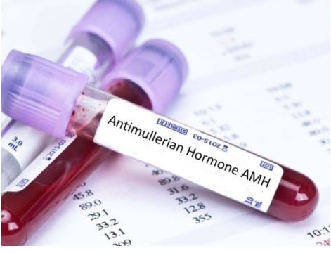 Kết quả chỉ số AMH 1.15 cơ hội thụ thai có cao không?