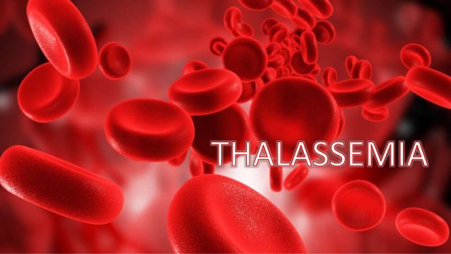 Phòng bệnh Thalassemia