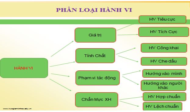 Phân loại hành vi