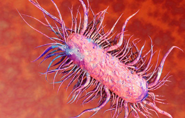 Nhiễm vi khuẩn ăn thịt người