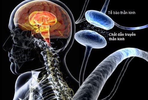 Hình ảnh thần kinh trong bệnh Parkinson