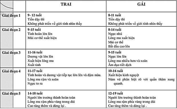 Tuổi dậy thì