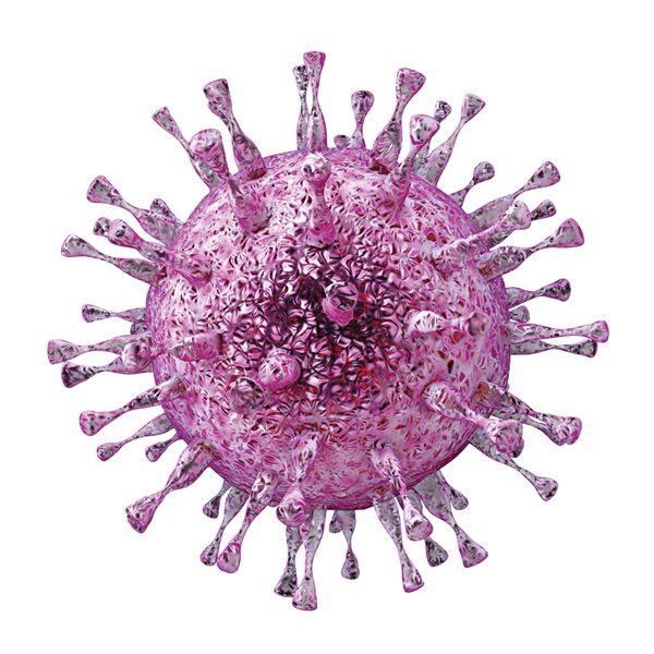 virus Herpes