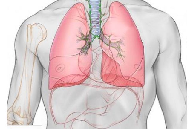 dung tích phổi