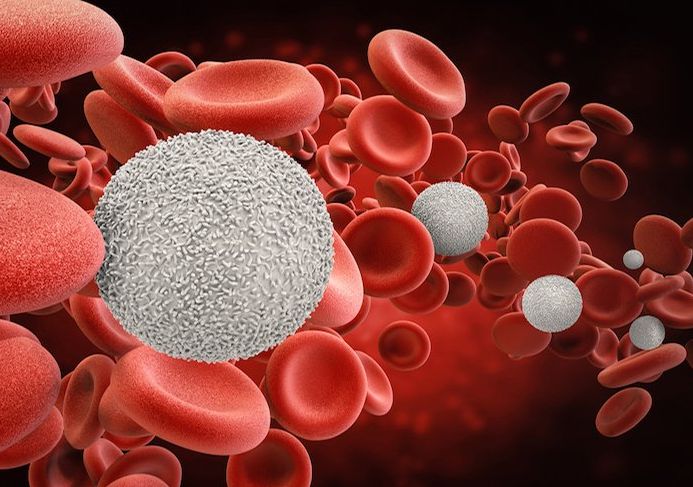 Ghép tế bào gốc tạo máu